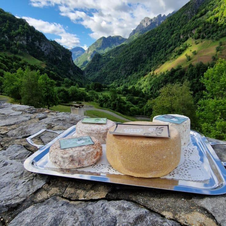 Chateau D'Arance Hotel Restaurant Espace Bien-Etre Cette-Eygun ภายนอก รูปภาพ